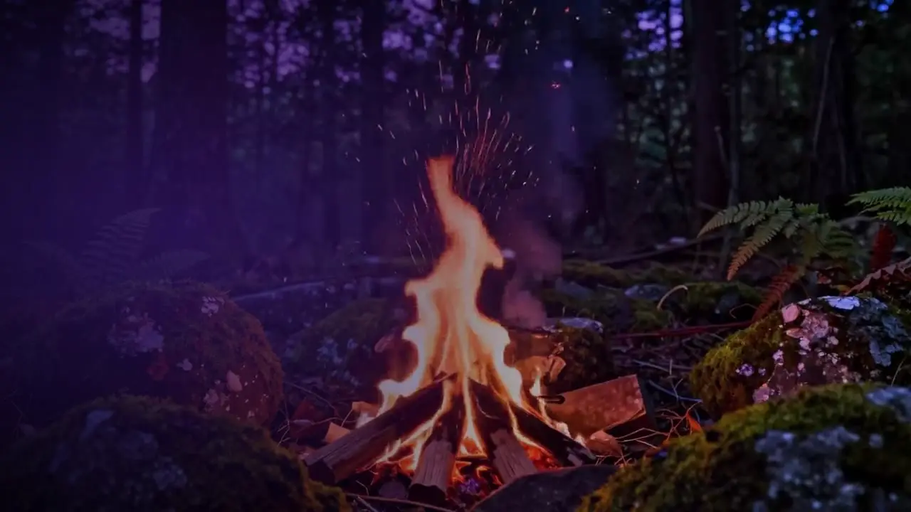 Campfire Forest Night Glow